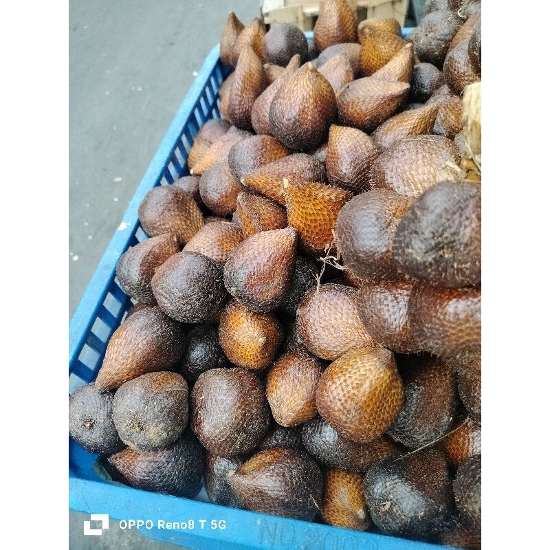 

Buah salak manis 1 kg