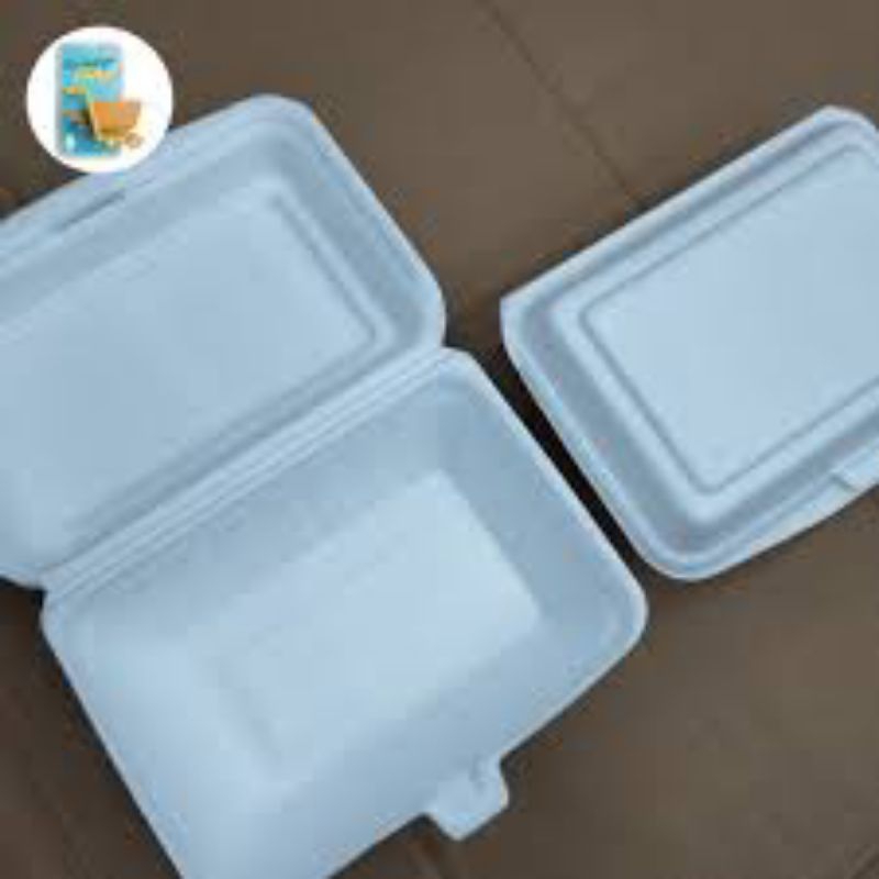 Styrofoam gabus kotak makan/pcs