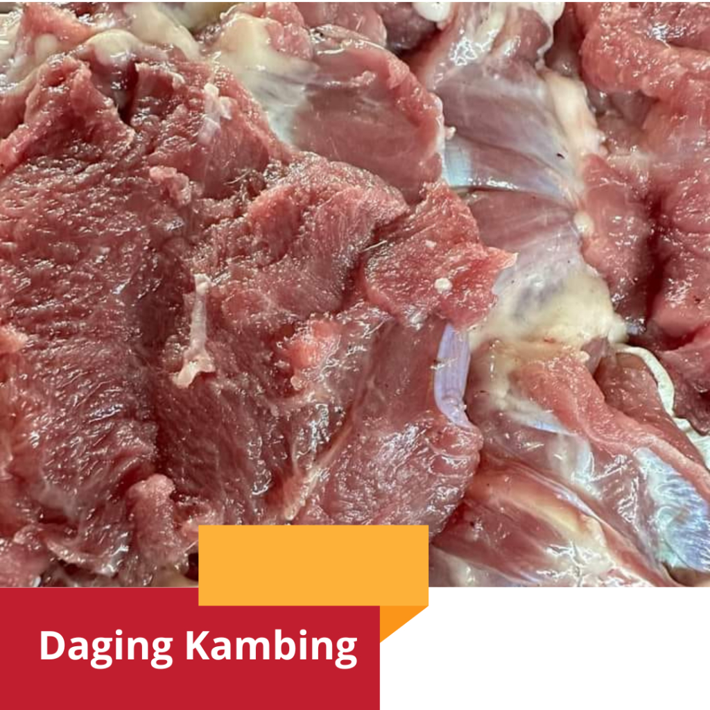 

Daging Kambing Muda Fresh Tanpa Tulang