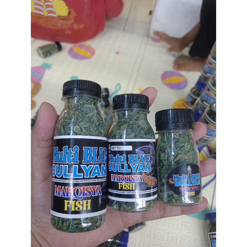 Udang Mbledhos (kering) By Marqisyafish cemilan ikan channa dwarf