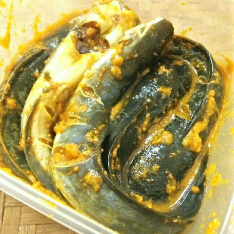 

Ikan marinasi bumbu kuning siap goreng