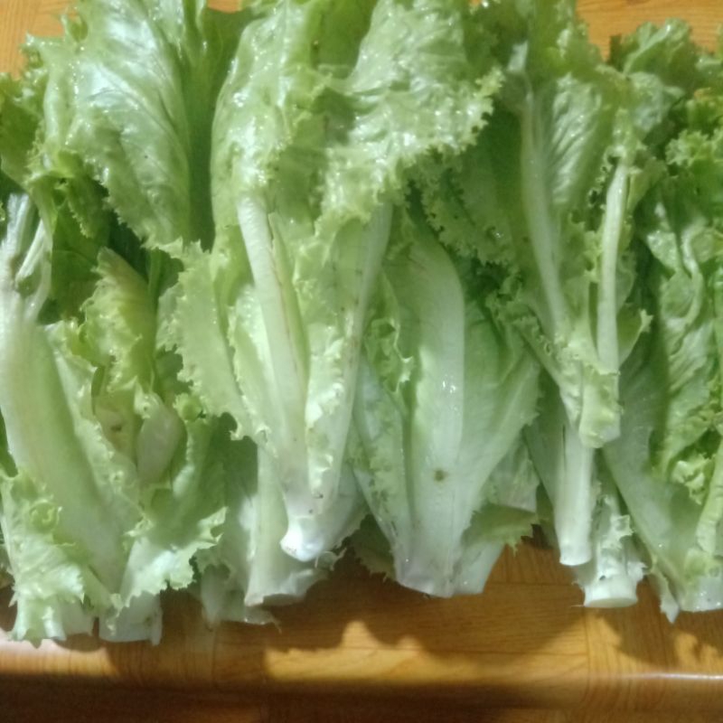

slada lalab per 250 gr