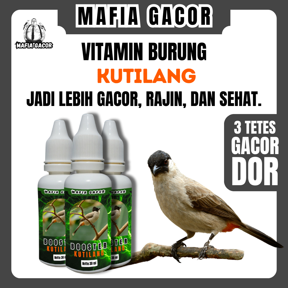 Booster Kutilang 30 Ml Penggacor Suara Burung Nyaring Ngoceh Lebih Lama Manggung Mafia Gacor