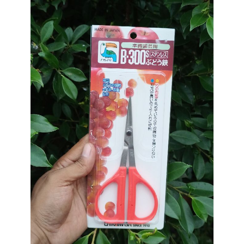 

GUNTING CIKAMASA B-300 DAN B-300S PROFESIONAL TOOLS JAPAN BONSAI