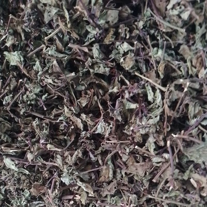 

daun kumis kucing kering alami tanpa kimia 100gr