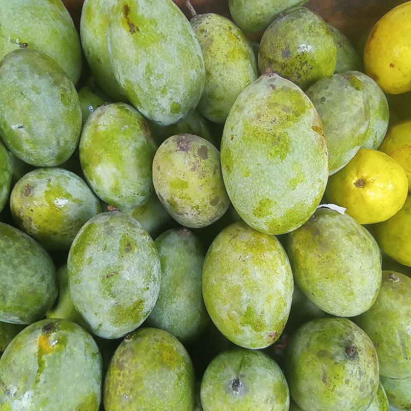 

Mangga manalagi 1kg