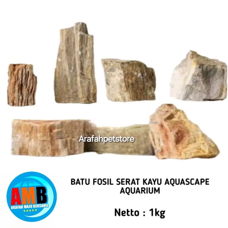 Batu fosil serat kayu aquascape aquarium / batu fosil kayu dekorasi aquascape aquarium