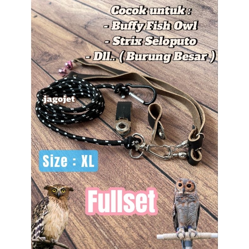 Anklet Celepuk Angklet Tali Kaki Burung Hantu Elang size XL Besar