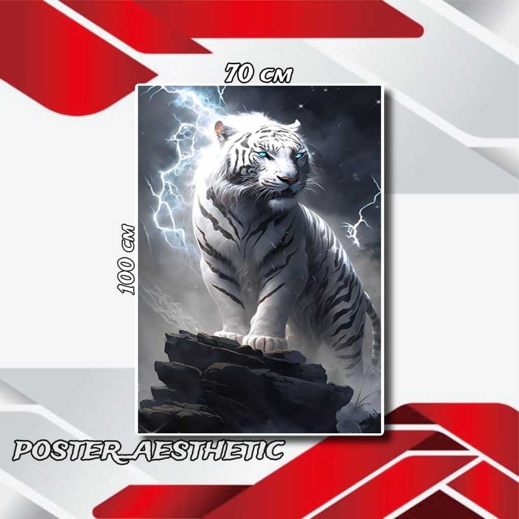 POSTER DINDING JUMBO FOTO HARIMAU PUTIH SUMATRA UKURAN 50X100CM 100X200CM XTRA JUMBO + BINGKAI