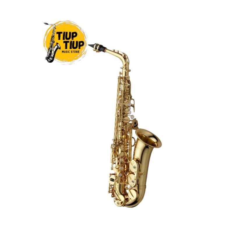 YANAGISAWA ALTO SAXOPHONE (AWO1)