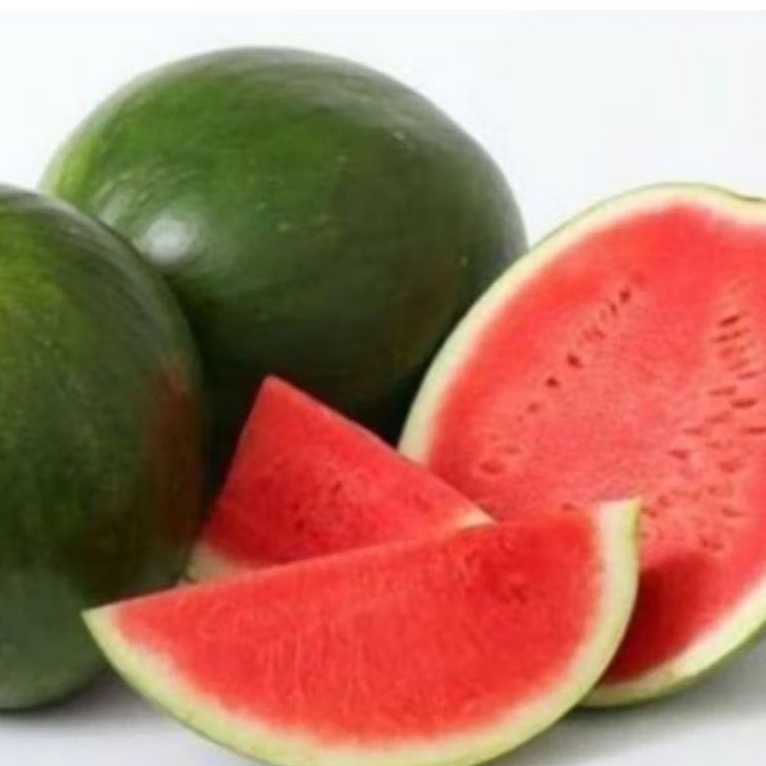 

Semangka Merah non biji Jumbo