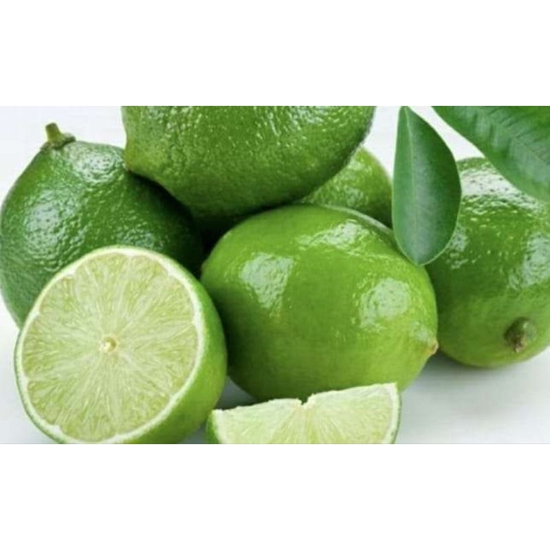 

jeruk nipis/jeruk pecel/jeruk peras untuk diet harga per kilo