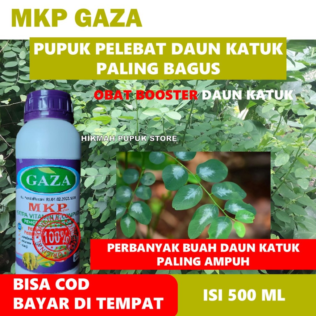 PUPUK PELEBAT DAUN KATUK TERBAIK - OBAT CAIR MKP GAZA PERBANYAK NUTRISI DAUN KATUK - PUPUK SEMPROT P