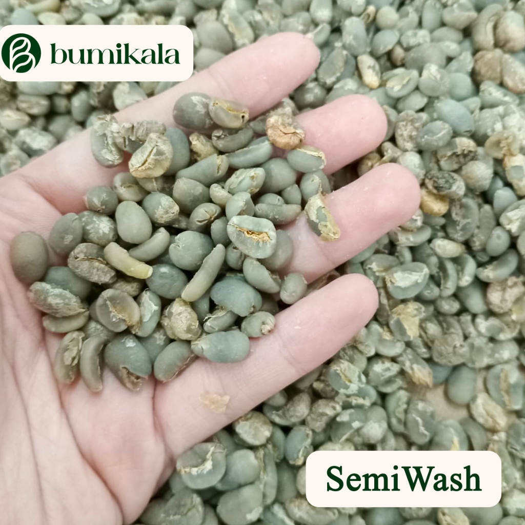 

GREEN BEANS ARABIKA GAYO Specialty SEMIWASH