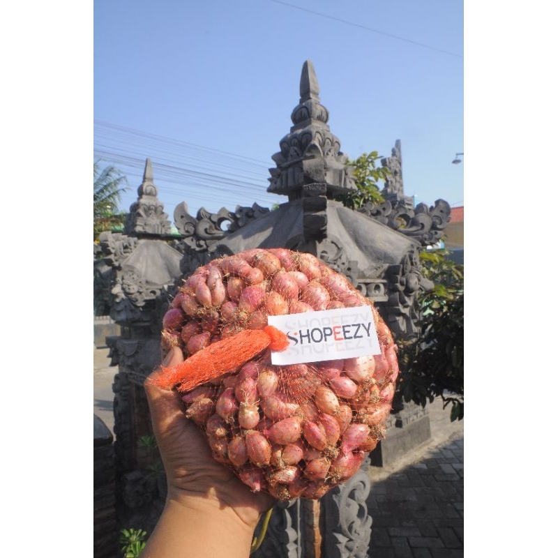 

Bawang Merah Nganjuk Ukuran kecil-Sedang