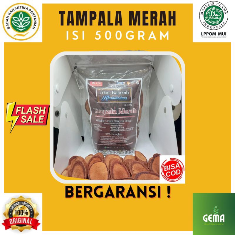 

AKAR BAJAKAH TAMPALA MERAH/KAYU BAJAKAH TAMPALA MERAH GRADE A+ ASLI DARI KALIMANTAN