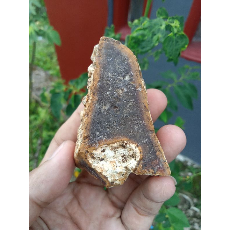 ✅ Batu Akik Raflesia ( Rough / Bahan Batu Akik Natural - bukan bacan obi red baron borneo bio solar 