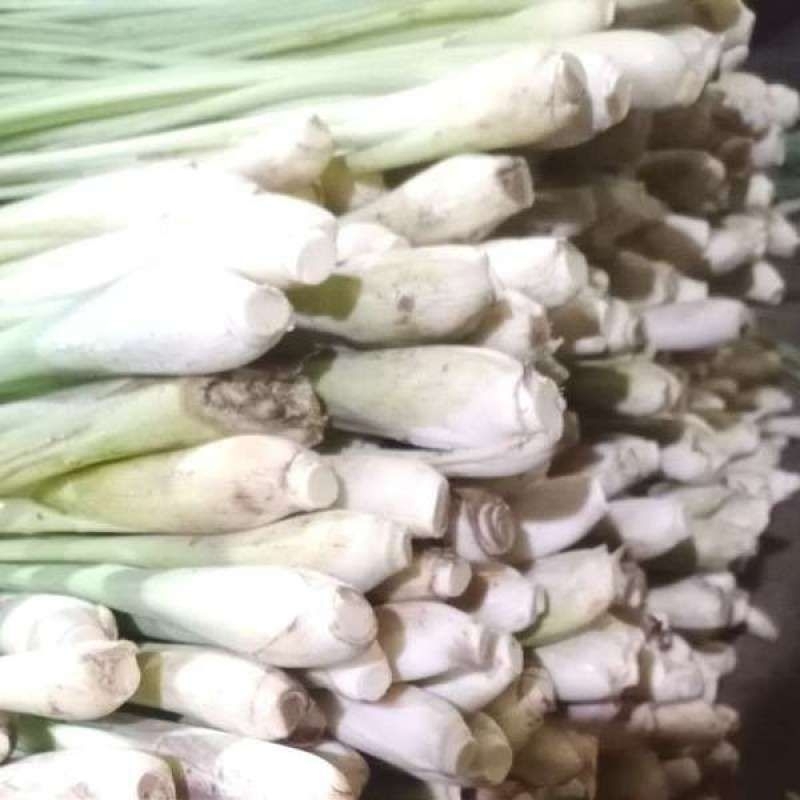 

SERAI/SERAI SEGAR PER 400GRAM