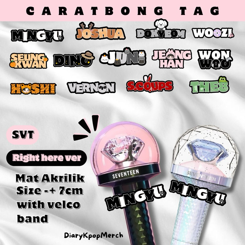 Nametag Lightstick Seventeen / Name Tag Caratbong / Lightstick decoration