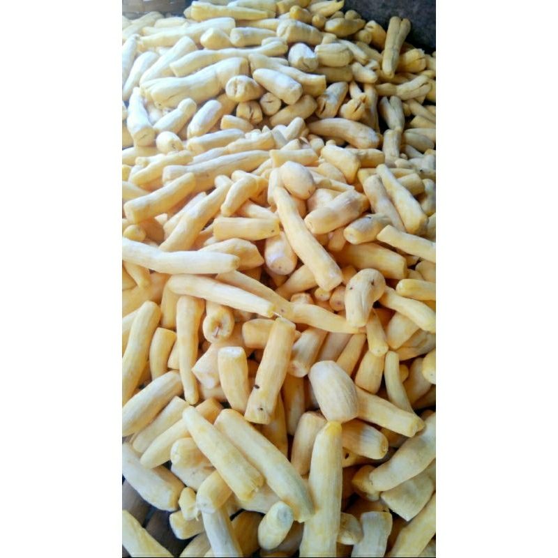

TAPE SINGKONG KUNING 1 KG
