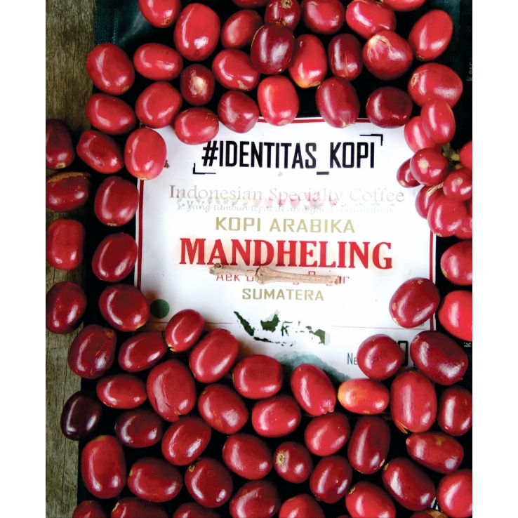 

Kopi Arabika Mandailing Full Wash - Kopi Specialty SUMUT - 250gr