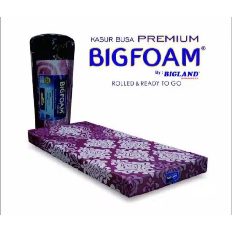 Kasur Busa Bigfoam Roll