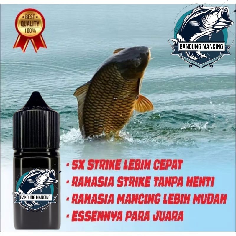 essen ikan mas, essen ikan mas paling bagus untuk segala umpan, essen ikan mas amis wangi, essen ika