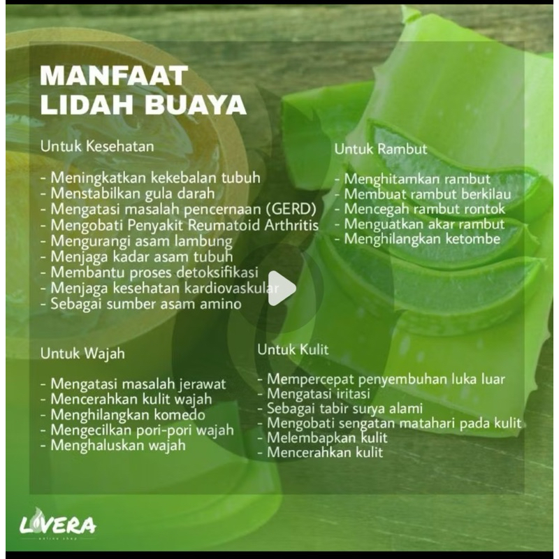 

(Sameday/Instant) Daging Lidah Buaya Segar 500gr