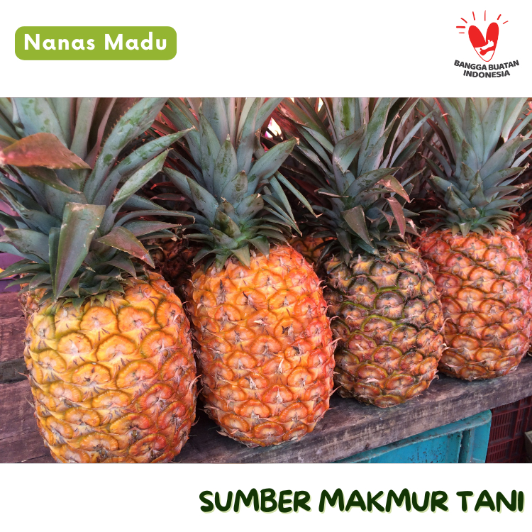 

Nanas Madu Manis, Segar, dan Kaya Nutrisi Bisa Kirim Instan