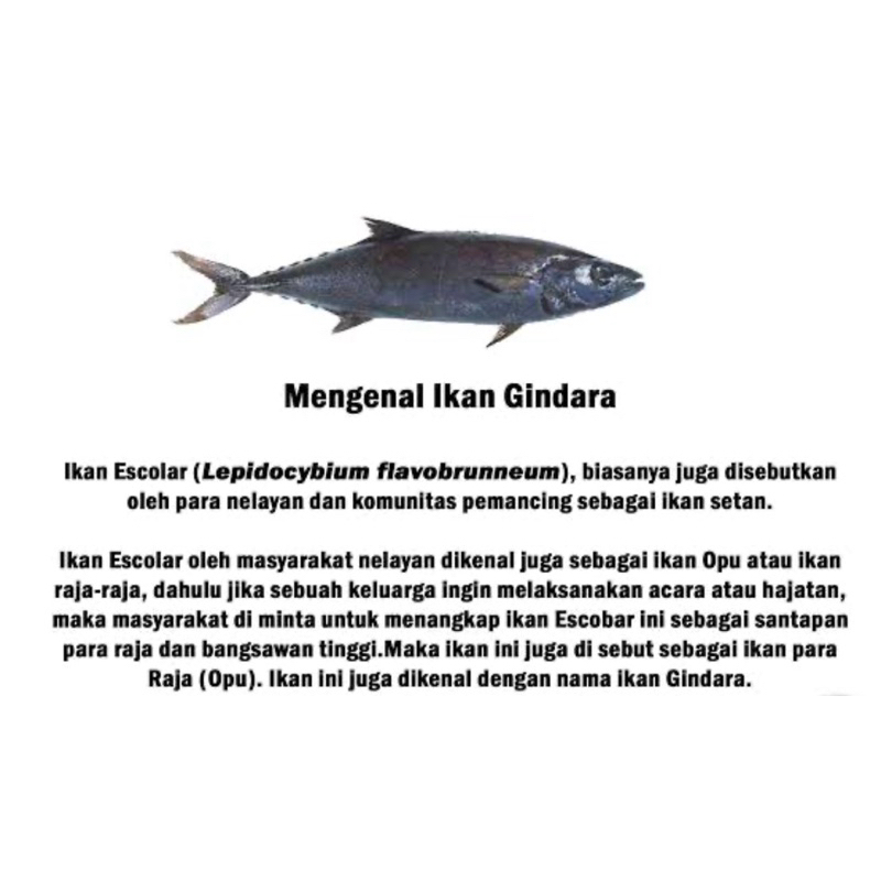 

Loin Ikan gindara fillet Fresh / kg