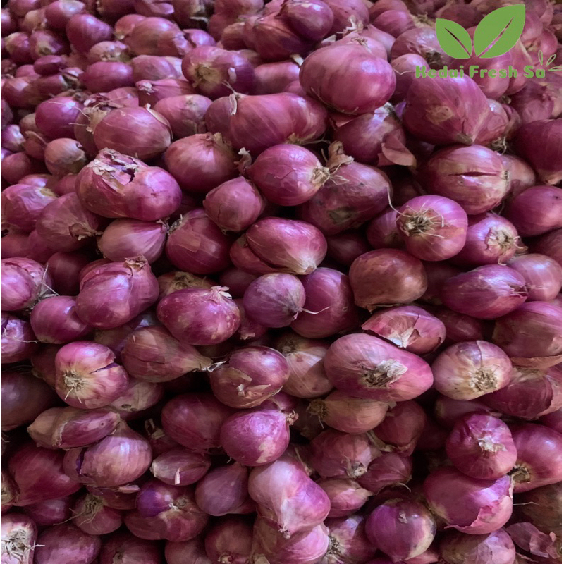 

Bawang Merah