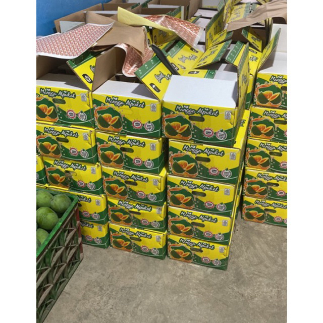 

Mangga Alpukat Grade A (5kg)