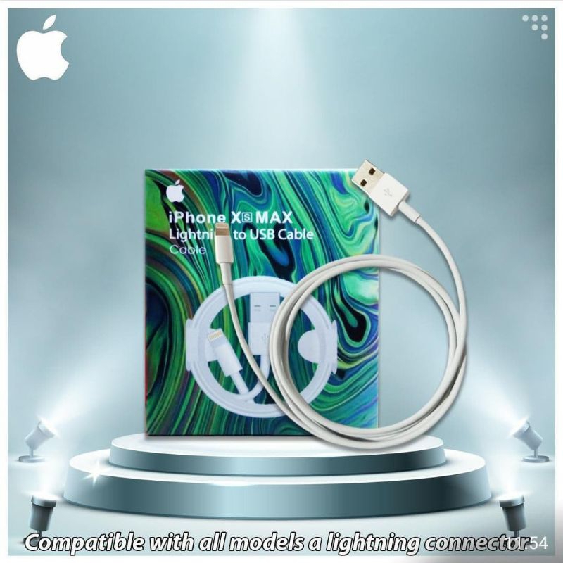 KABEL DATA ORI IPHONE XS