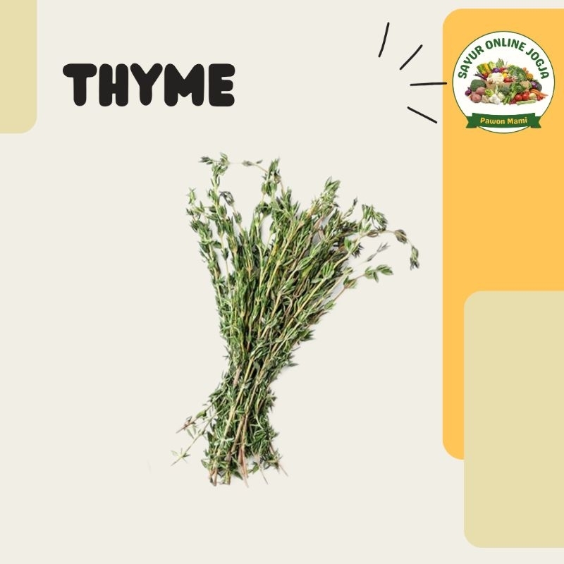 

Thyme 25gr - PAWON MAMI SAYUR ONLINE JOGJA