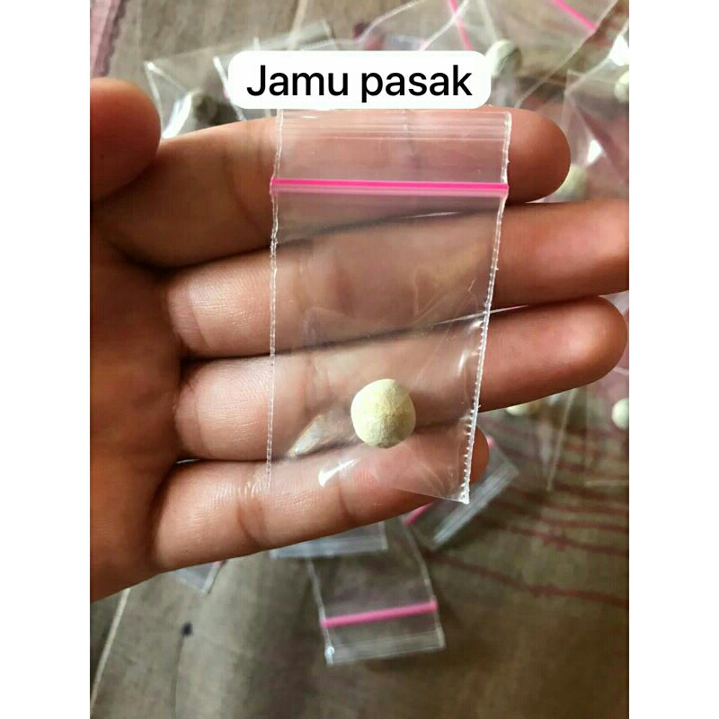 

JAMU PASAK KALIMANTAN