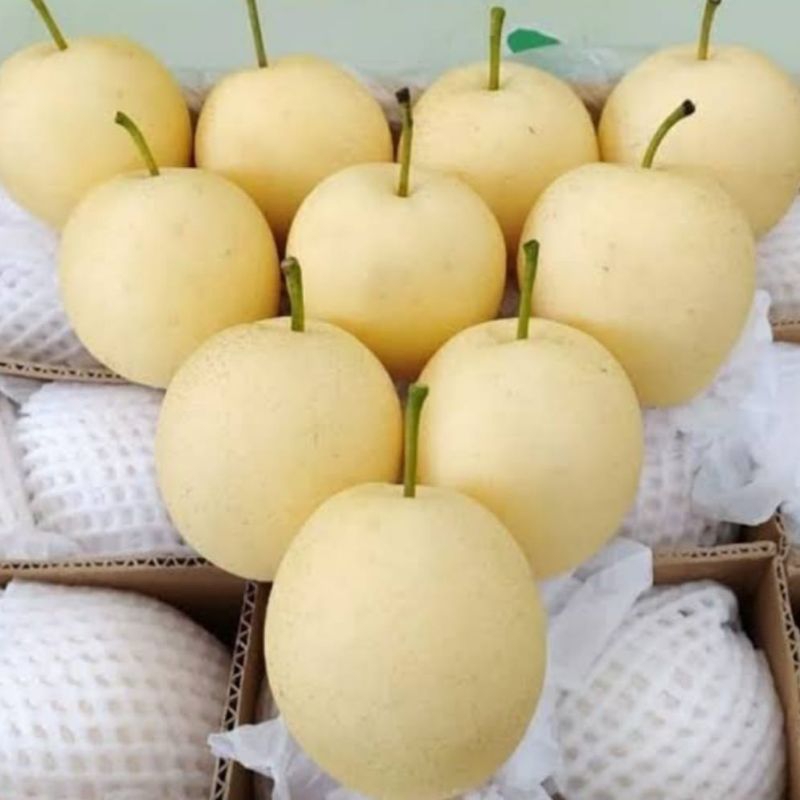 

Buah Pear Century Segar 1 kg