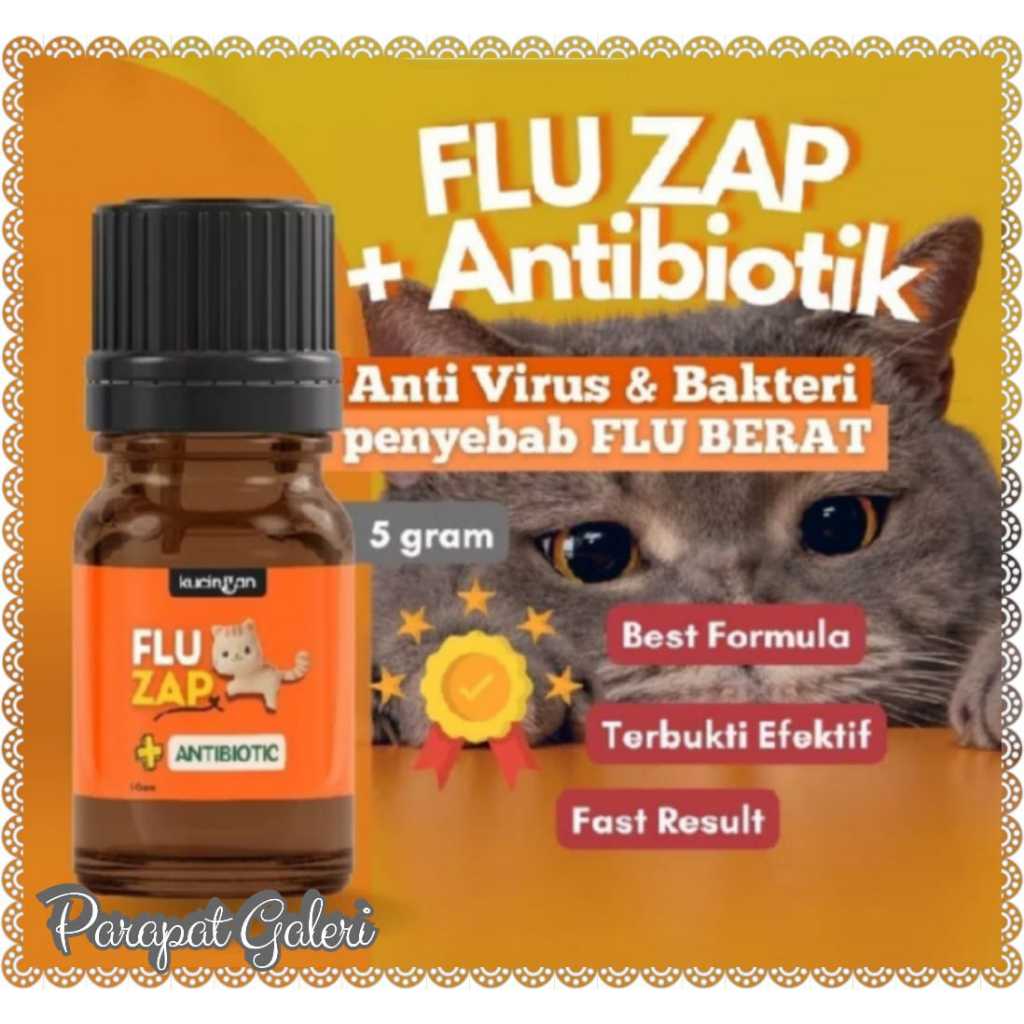 Obat Flu Berat plus Antibiotik Kucing -  Flu Menahun - Batuk - Pilek
