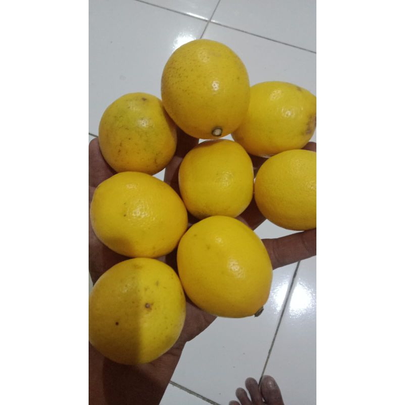 

lemon California