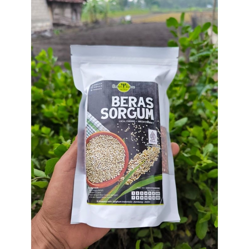 

Beras Sorghum Merah Beras Sorgum Merah Beras Shorgum Merah Kemasan 1 Kg Beras Gluten food