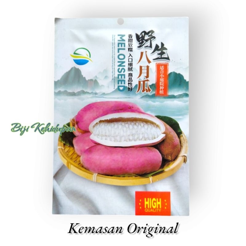 BENIH AKEBIA QUINATA (KEMASAN ORIGINAL)