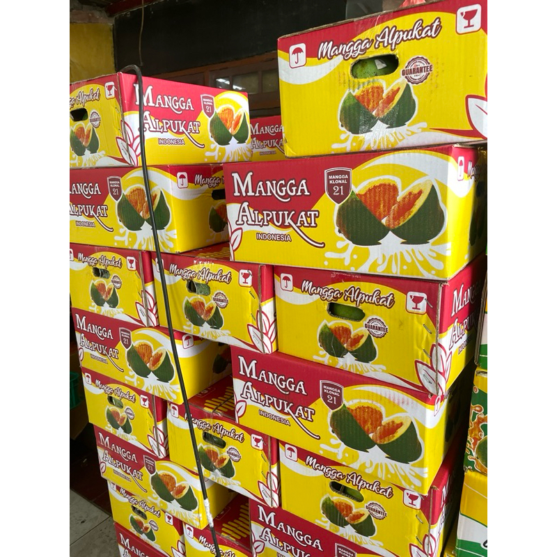 

[5KG] Mangga Alpukat 1 Kardus Manis Termurah Original