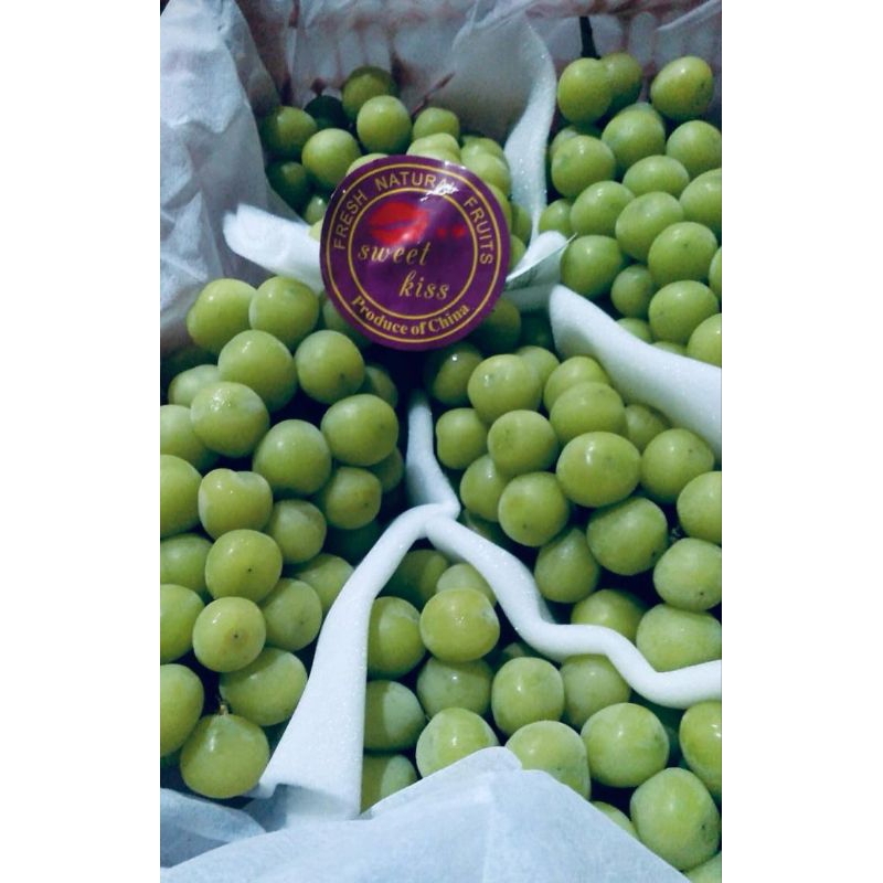 

ANGGUR MUSCAT CURAH PREMIUM SUPER GEMOY JUGA