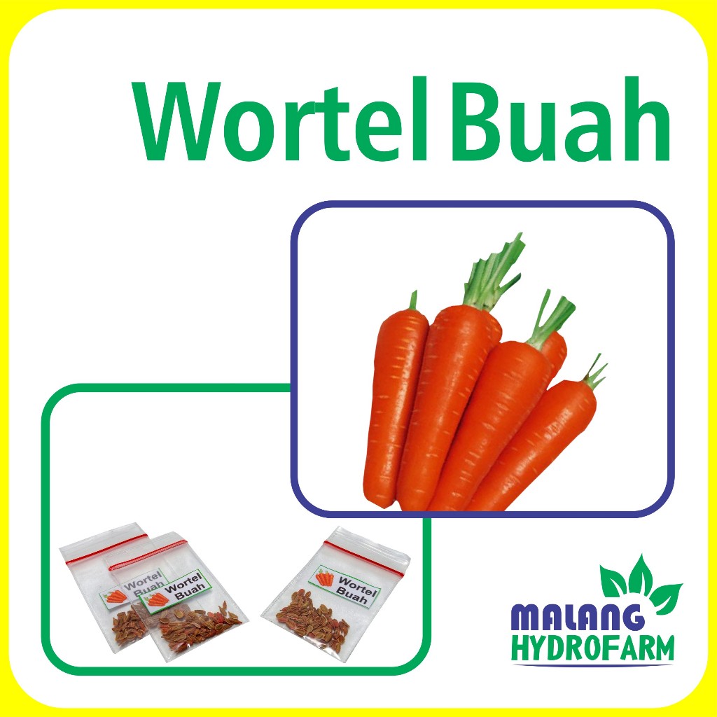 Benih Wortel Buah Unggulan Berkualitas biji bibit repack daucus carota kuroda hydroonik hidroponik s