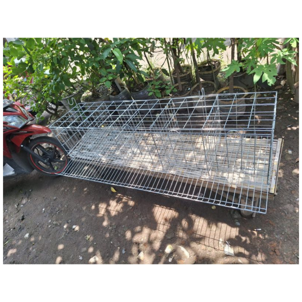 Kandang Ayam Petelur Batrey Galvanis 4 Pintu Kapasitas 8 Ekor