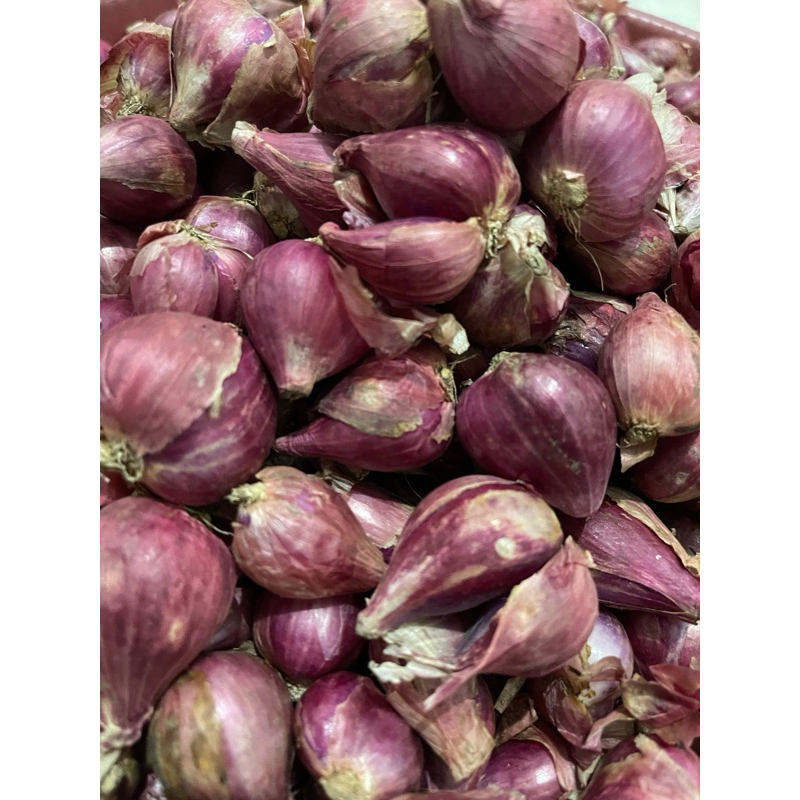 

Bawang Merah Brebes 250 Gram