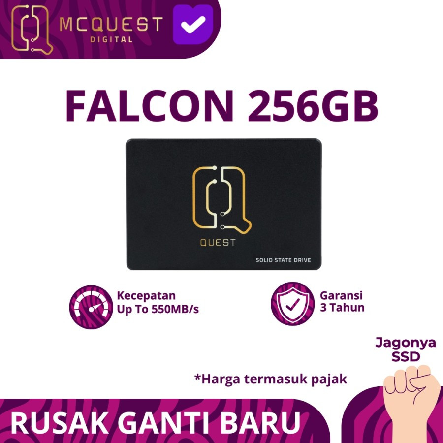 McQuest Falcon 256GB SSD SATA 2,5 Inch - SSD Sata3 256