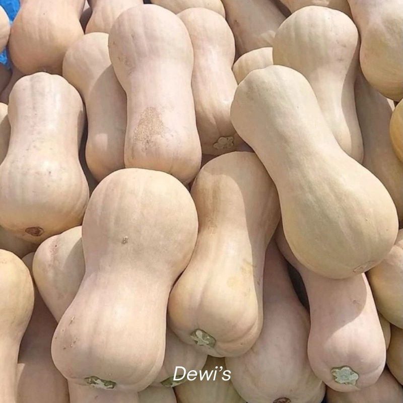 

LABU MADU / BUTTERNUT PUMKIN / TERMURAH