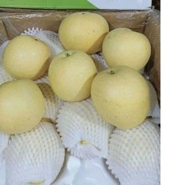 

Buah Pear Century 2-3pcs/500 gr