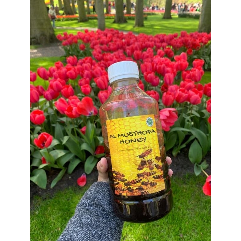 

Madu Hutan Murni Asli Almusthofa Honey