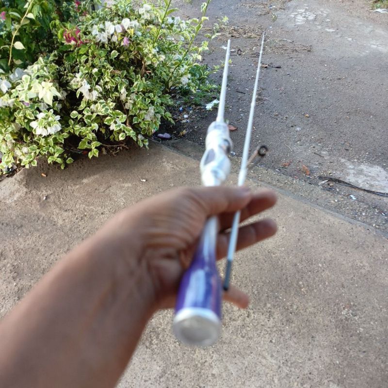 Joran pancing Zorro hinata UL solid carbon